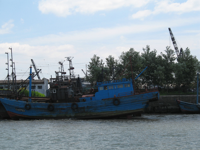 img_6287_copy1.jpg