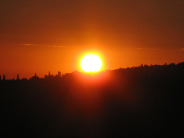 img_6352.jpg