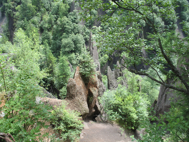 img_6376.jpg