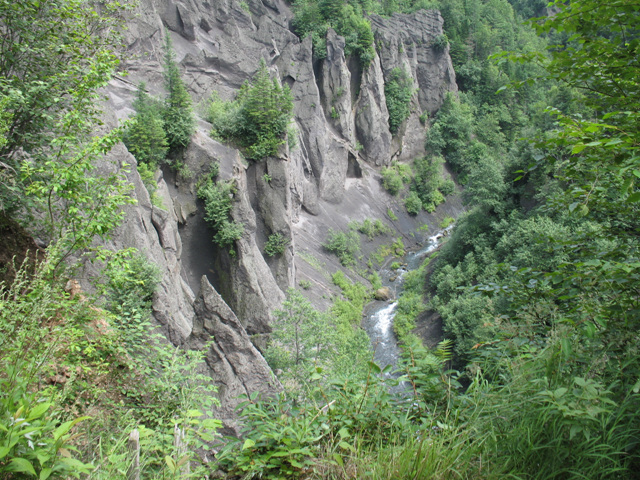 img_6377.jpg
