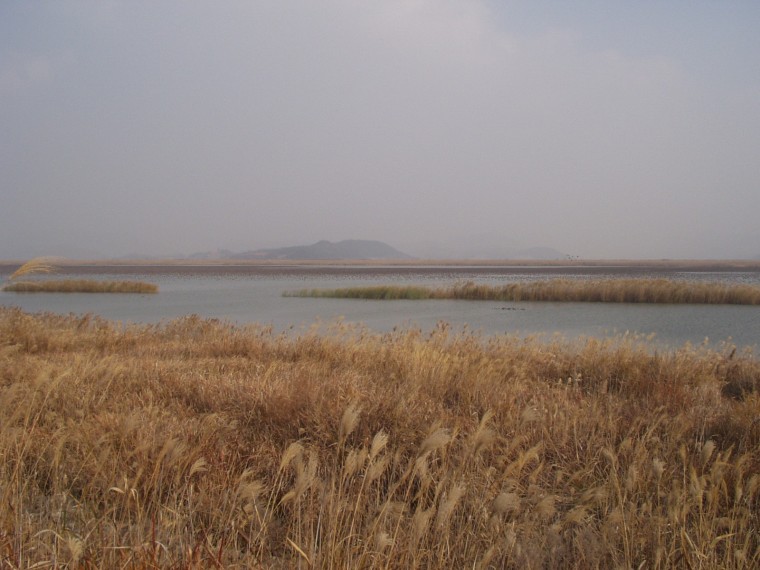p1010023.jpg