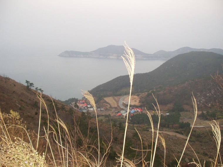 p1010088.jpg
