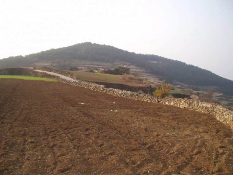 p1010095.jpg