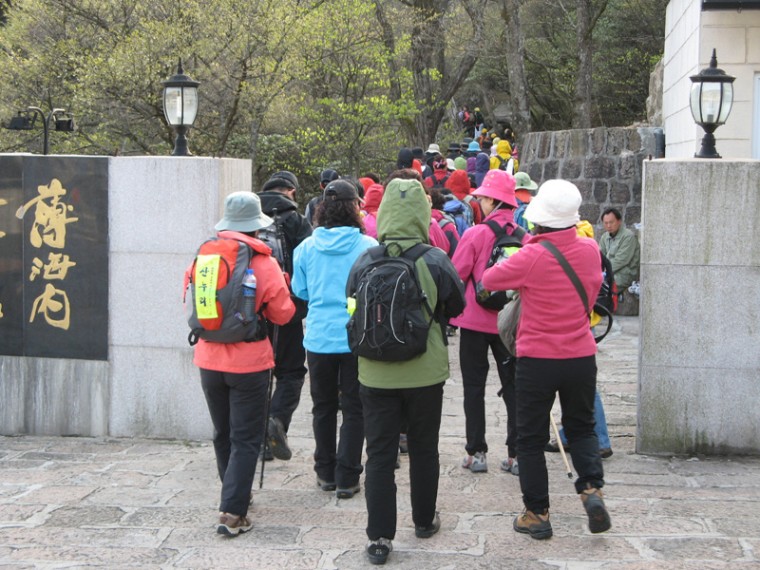 img_2290_copy.jpg