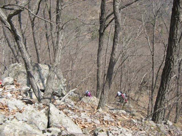 img_6579.jpg