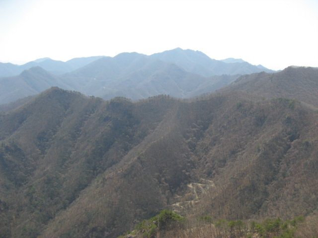 img_6592.jpg