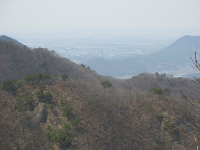 img_6594.jpg