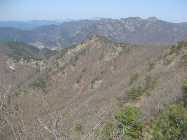 img_6597.jpg