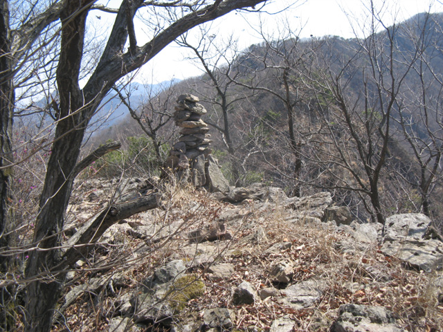 img_6603.jpg