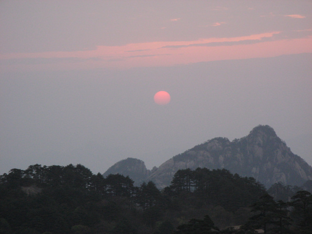 img_7184_copy1.jpg
