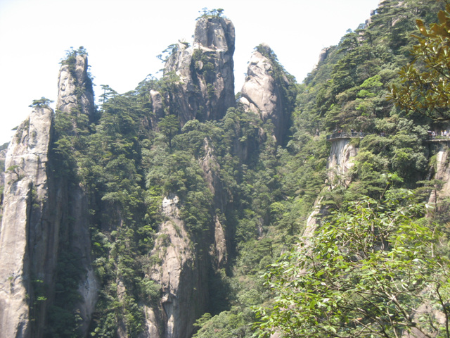 img_7448.jpg