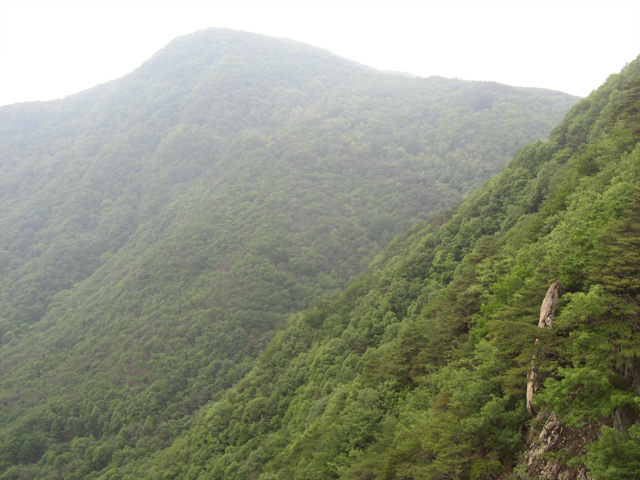 img_7649.jpg