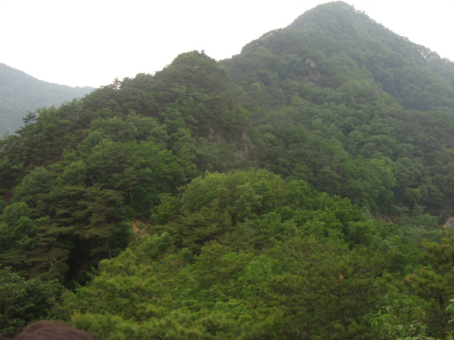 img_7659.jpg