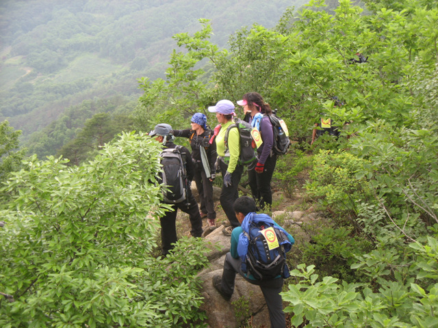 img_7660.jpg
