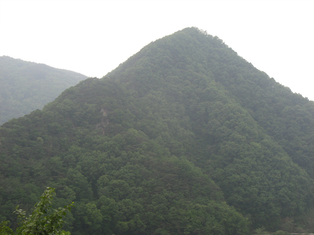 img_7661_copy.jpg