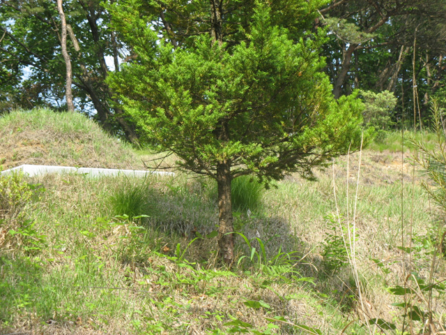img_7669.jpg