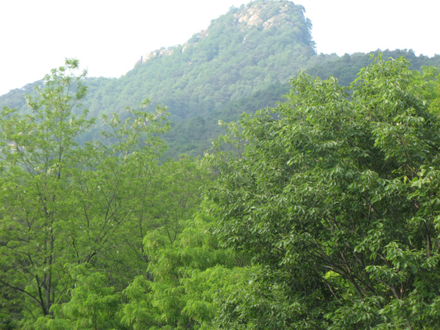 img_7673.jpg