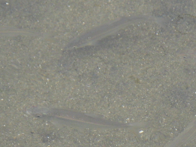 img_8351.jpg