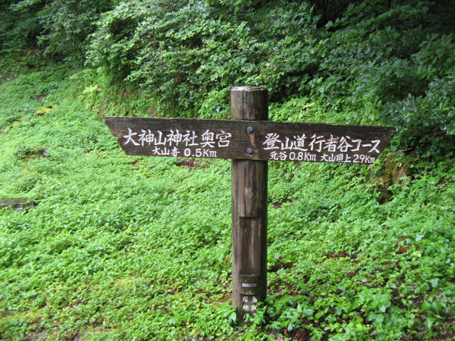 img_8390.jpg
