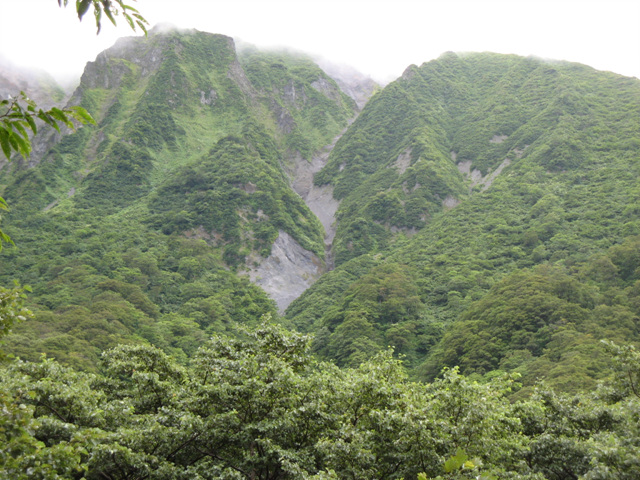 img_8391.jpg