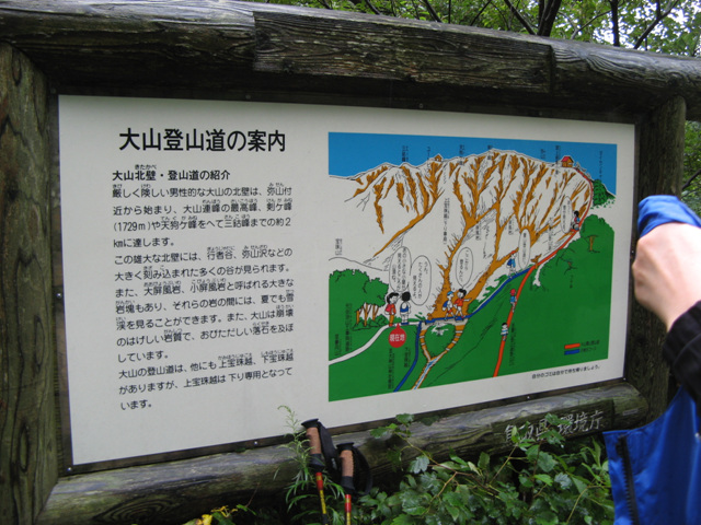 img_8392.jpg