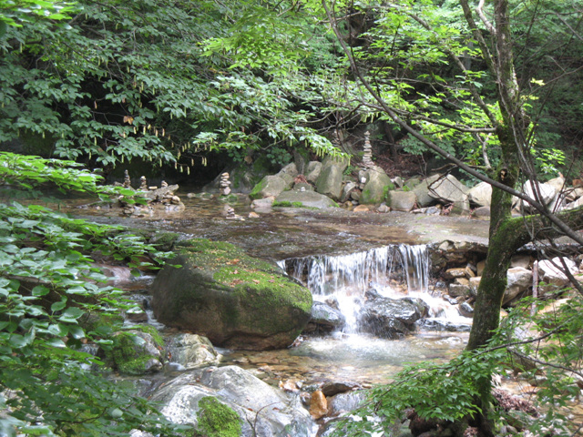 img_8428.jpg