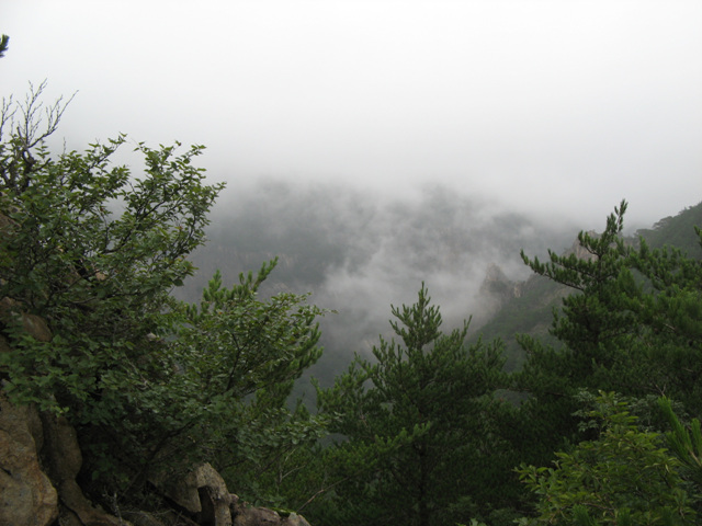 img_8441.jpg