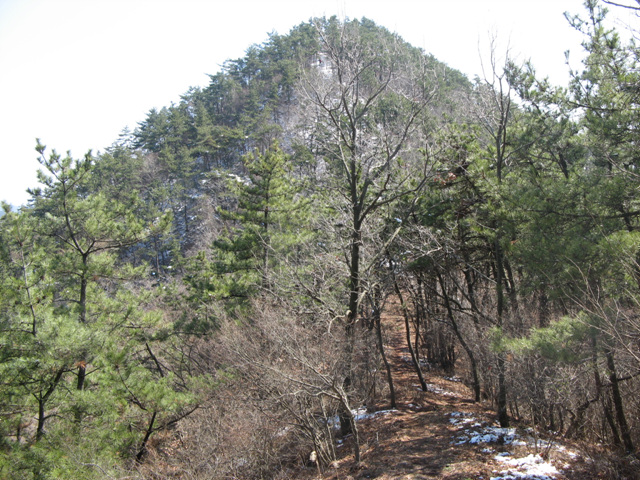 img_0683.jpg