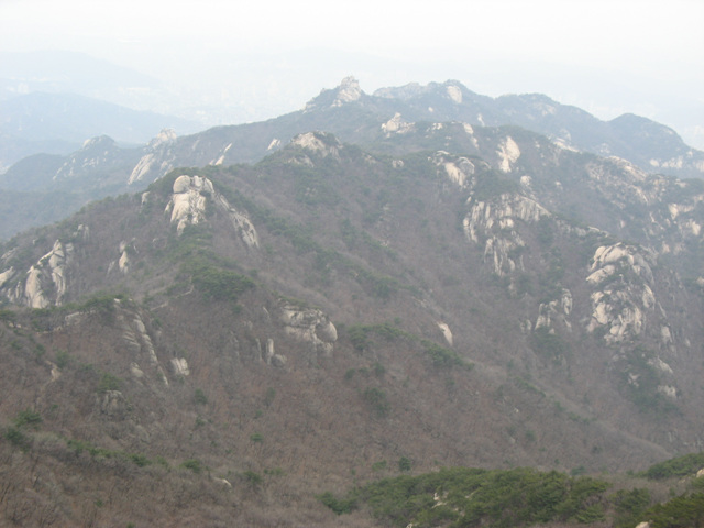 __img_1090.jpg