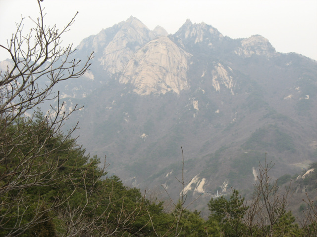 __img_1095.jpg