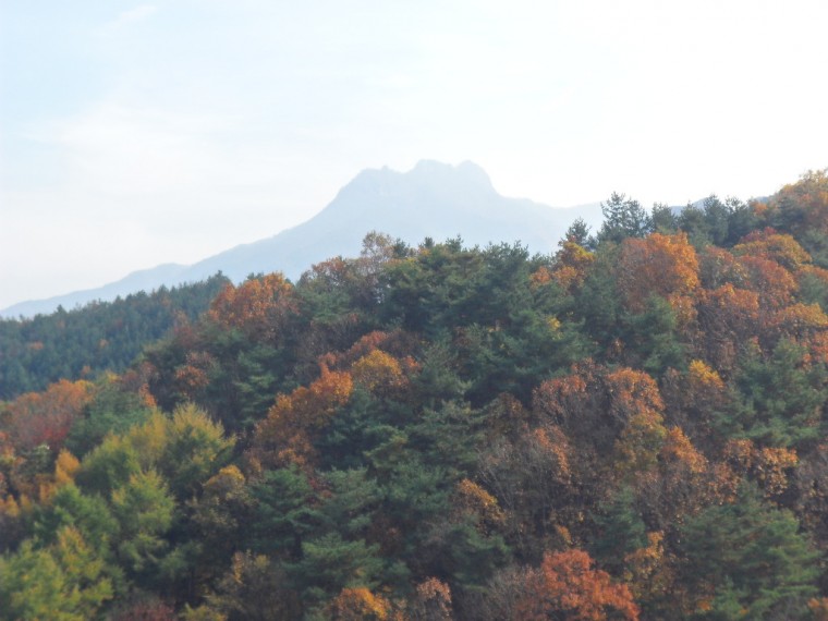 12223C4D50946F9E1CB6A7_6HkrKotyG