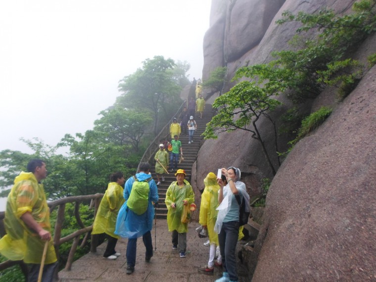 2109DF345389156B26316F_4sz6uhGThupjdf