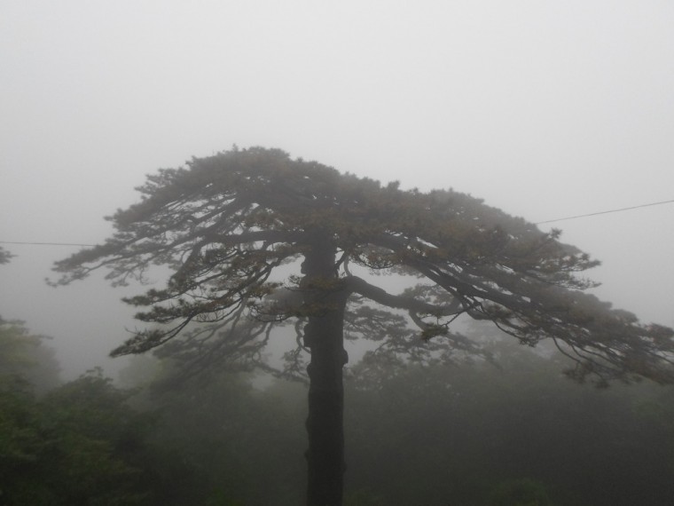 210F8734538918A723E68F_VwKbggpf