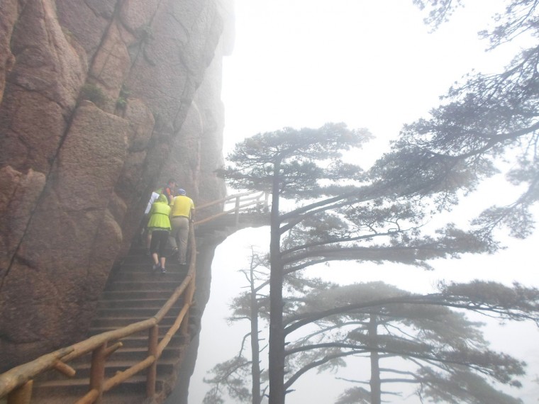 2116DD375389183E1CEF48_fe6MUeaIoLu59x