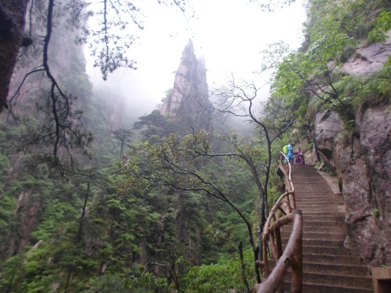 213175395389177F2FCDD1_Vvnd8HU8UU7KC9K