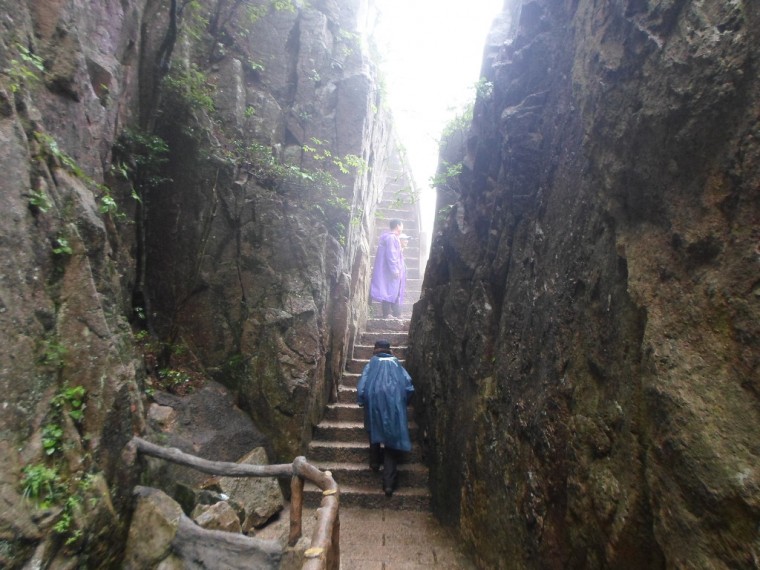 213E2738538917D72FA1CB_iPdL8WJRtRUzz