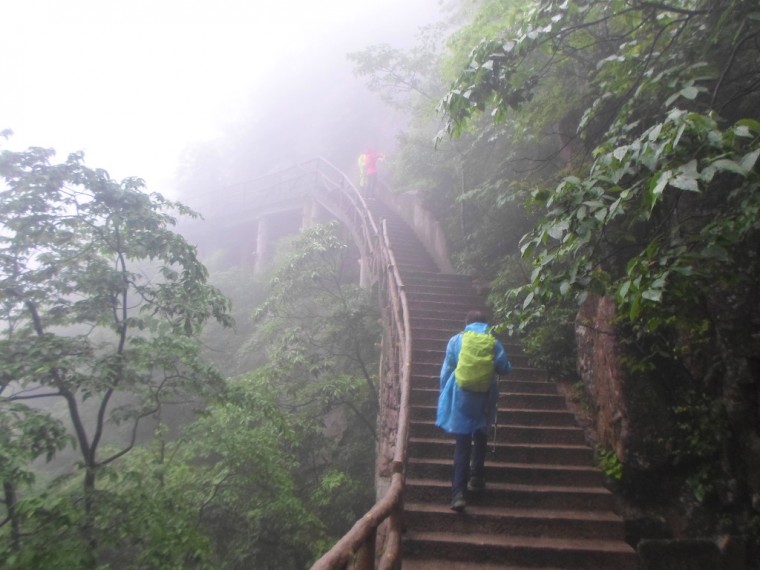 2140A734538916FA2D5FC6_7i6og1KQn4HjBh