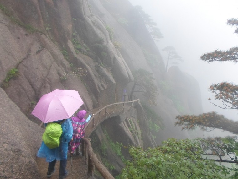 21488236538914BF249B7D_umGqr7jjgpwpZRO