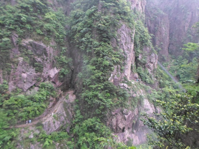 217196395389177B2C3C5D_Hm6UKopdqp6Q