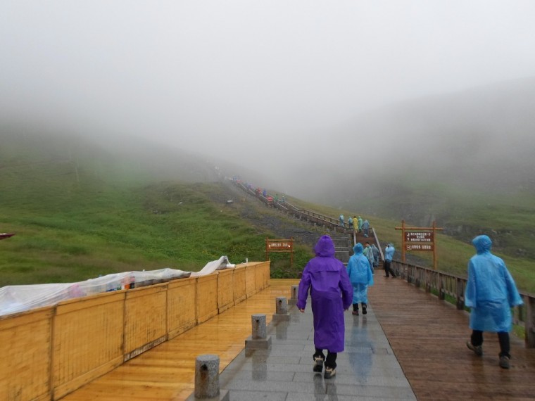 217C784452298E132C40BB_16Hlz3Qazk3X