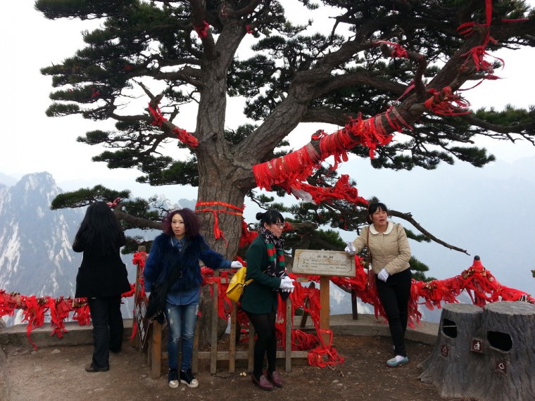 2261574F54652DD70899B6_1ytgxvGp