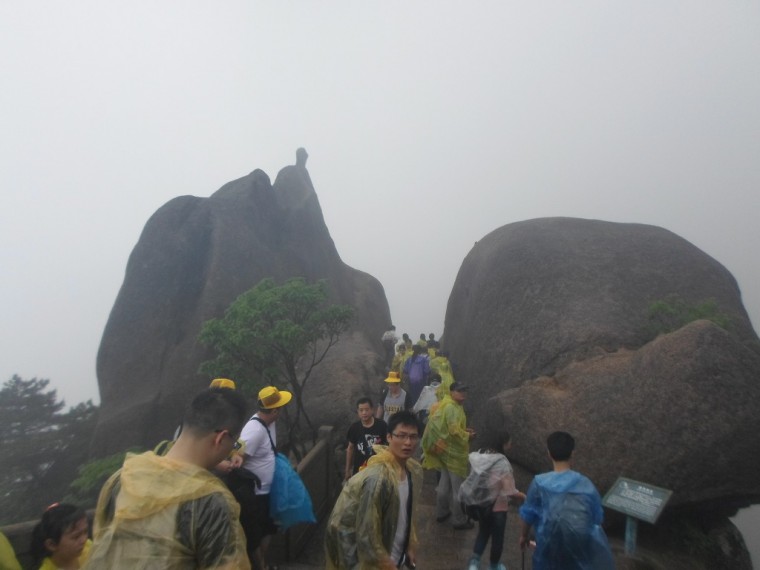 22645B37538914CA151183_pwii1Vw3EVg