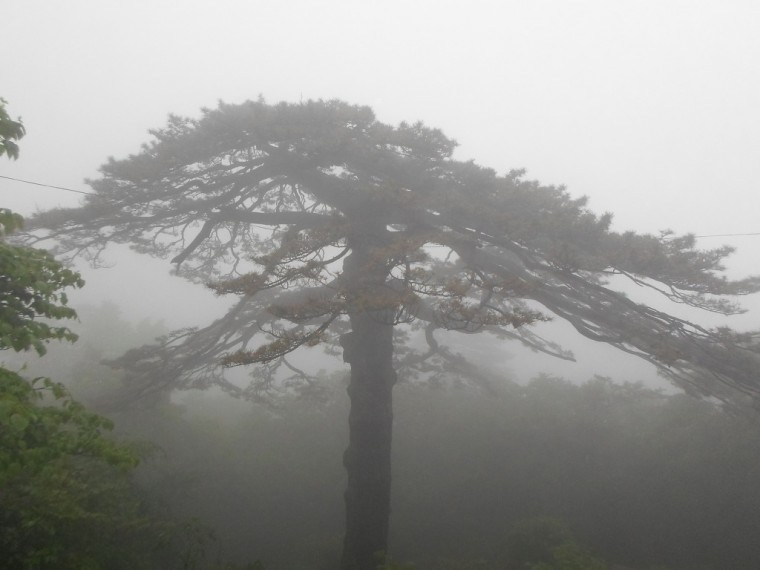 2266C534538918A5369084_i8PE2K48X