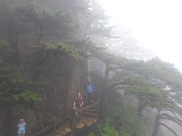 2306F9375389184316F5E8_Wng9duk1r7GR