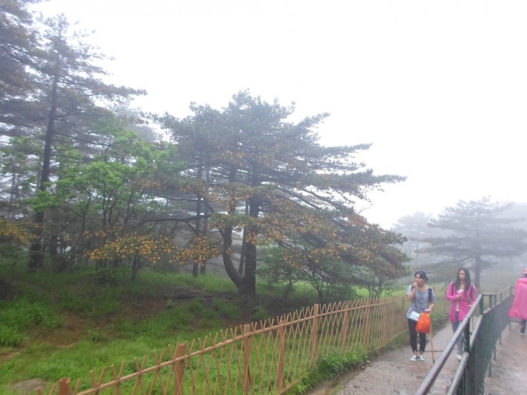 232E7535538916851D88E0_WgPUqqdSBCI