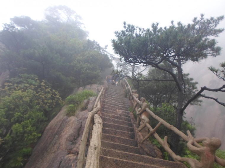 2338F138538917E12E404A_ty7h27NNlNwbPW