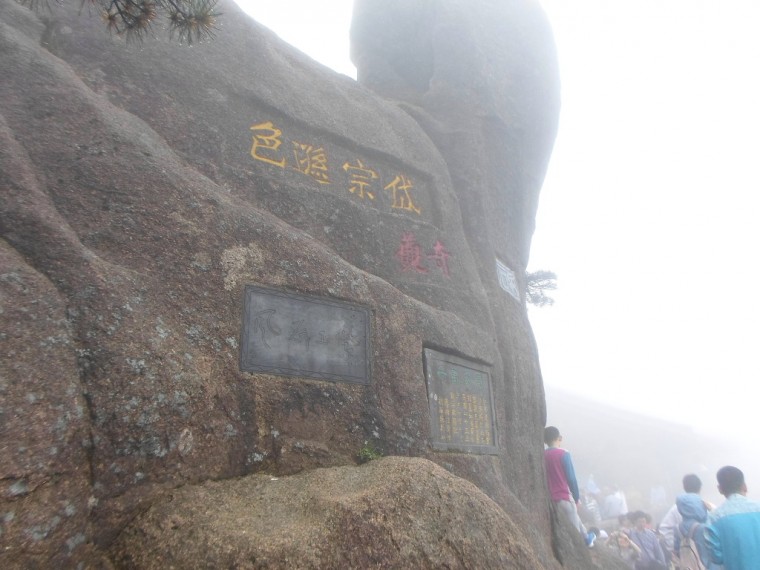 234FA1365389146C17C88F_VeEW5hrq