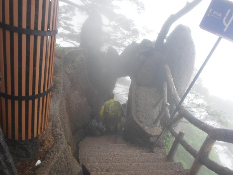 23515F37538914C638C039_6RIdY3mbE7aF