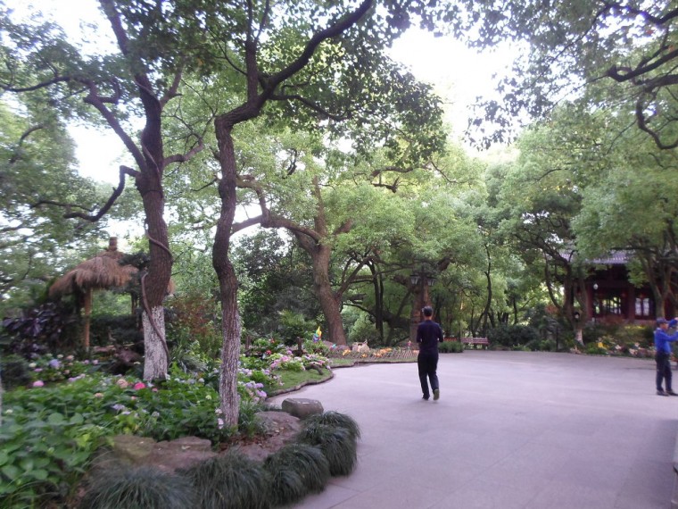 23560F4D53891A29237C61_kOFDpElLD8J1