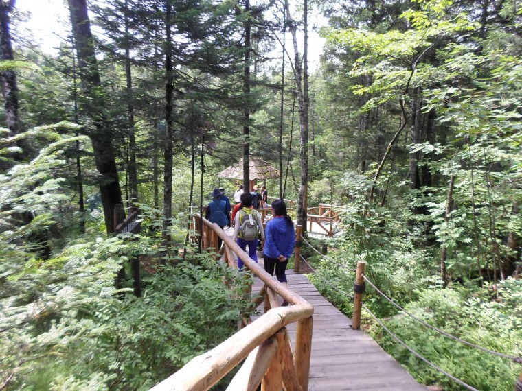 2372C74252298E772C3A18_tg1UxpFgCIIPXb